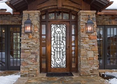 Дверь переченя заполненная работой чугунная стеклянная, определяет железные двери безуходные
