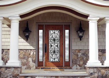 Личная дверь покрытия брызг стиля чугунная стеклянная с горячим Дипфабрикатед